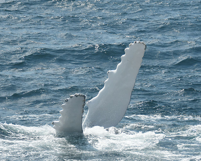 8 Phương Pháp Xử Lý Vết Nứt Bê Tông An Toàn và Hiệu Quả