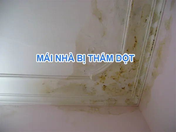 Hình ảnh minh họa mái nhà bê tông bị nứt và thấm nước