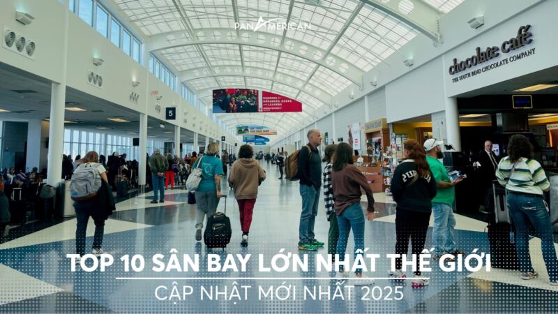 Cập Nhật Giá Thép Xây Dựng Phi 10: Thông Tin Chi Tiết & Bảng Giá Mới Nhất