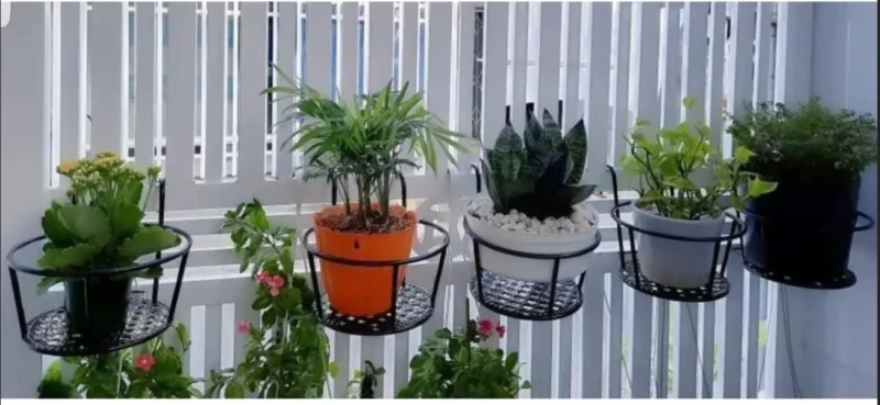 Giỏ Treo Hoa Ban Công Thương Hiệu Monrovia: Điểm Nhấn Sang Trọng Cho Không Gian Xanh Của Bạn