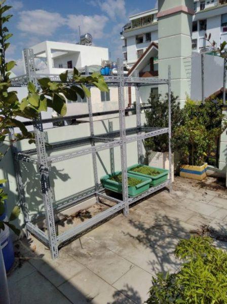 Hướng Dẫn Chi Tiết: Cách Làm Giàn Lan Bằng Sắt V Lỗ Đơn Giản, Bền Đẹp