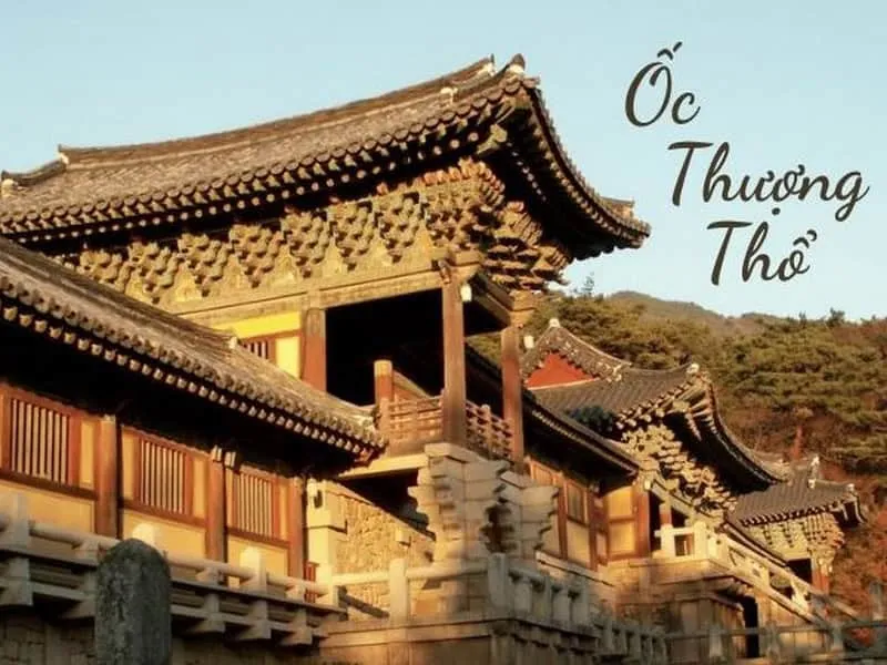 Đinh Hợi 2007 thuộc mệnh Ốc Thượng Thổ