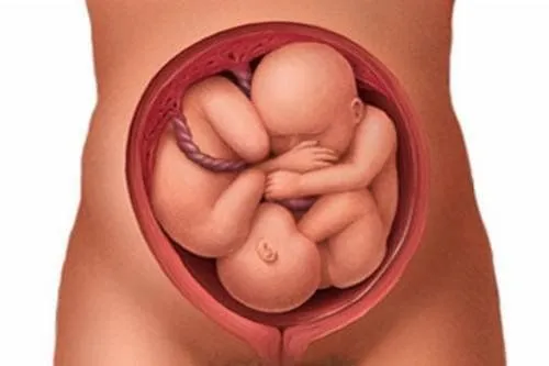 Bảng cân nặng thai nhi theo tuần giúp mẹ bầu theo dõi sát sao sự phát triển của con