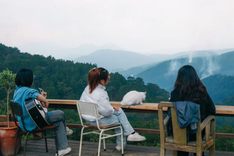 Tất Tần Tật Về Giường Sắt Giá Rẻ Đà Nẵng: Từ Mua Sắm Đến Lợi Ích Vượt Trội