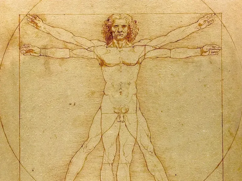 Người Vitruvius (Vitruvian Man) của Leonardo da Vinci, nghiên cứu tỷ lệ cơ thể người kết hợp toán học và giải phẫu học.