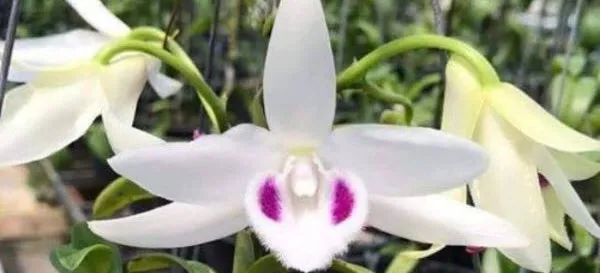 Hướng dẫn áp dụng giá vật liệu Phú Thọ