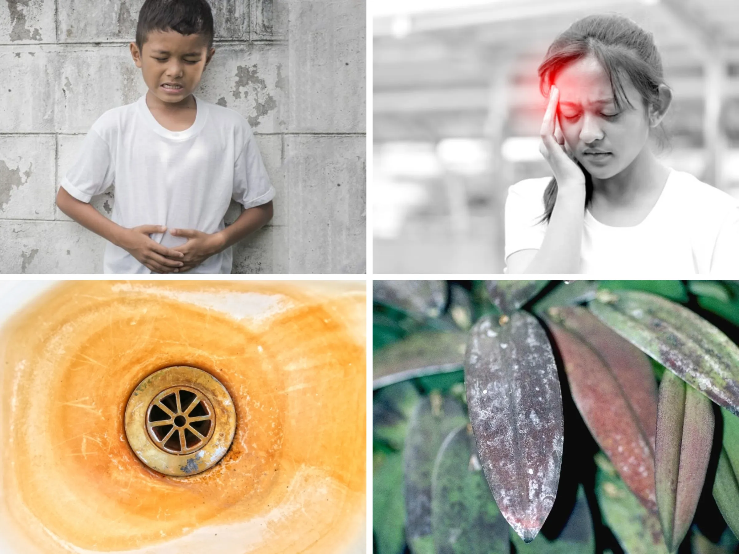 Nước nhiễm sắt ảnh hưởng đến sức khỏe con người