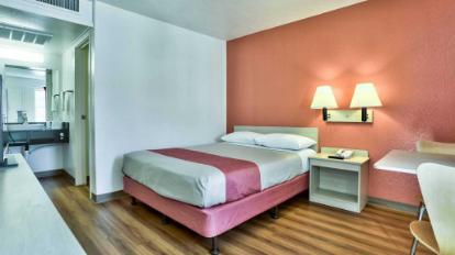 Có Nên Chưng Hoa Loan Trong Phòng Ngủ? Hướng Dẫn Chi Tiết Từ A-Z