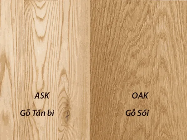 Các loại gỗ xếp theo khối lượng riêng