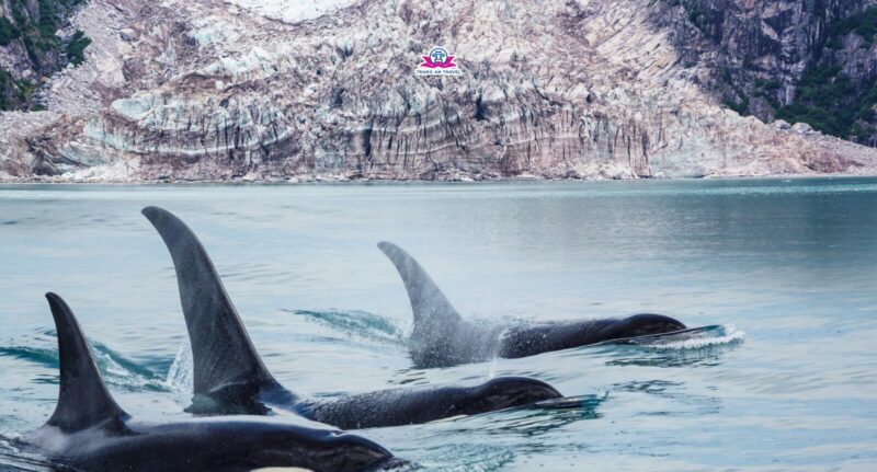 Khám Phá Thế Giới Két Sắt Cao Cấp Nhập Khẩu: Lựa Chọn An Toàn & Sang Trọng