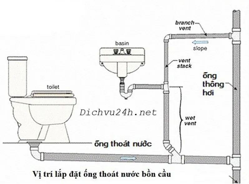 Chi tiết 6