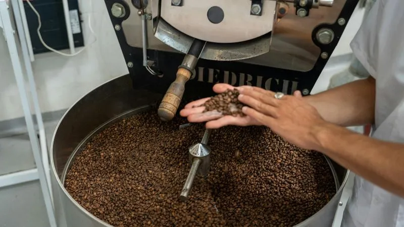 Cung Chấn có đặc điểm riêng trong quan hệ vợ chồng