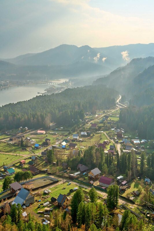 Bí Quyết Chọn Lựa Dây Thép Uốn Cây Cảnh Tốt Nhất