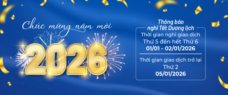 Cổ Phiếu Thép Việt Đức VGS: Phân Tích Toàn Diện Từ Giao Dịch Nội Bộ Đến Chiến Lược Bất Động Sản