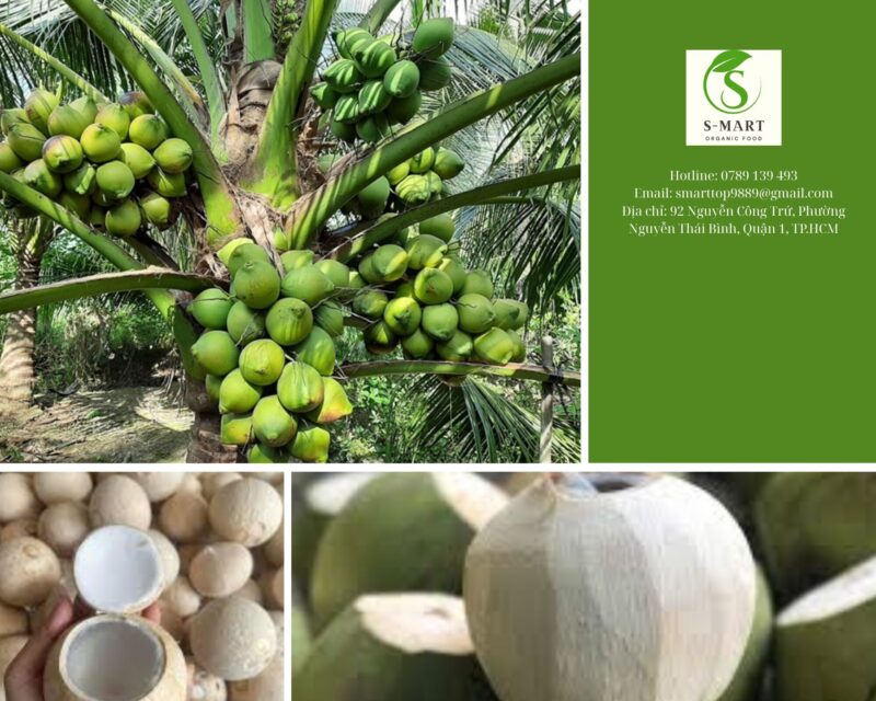 Khám Phá Toàn Diện Tác Dụng Của Chanh Dây Đối Với Sức Khỏe