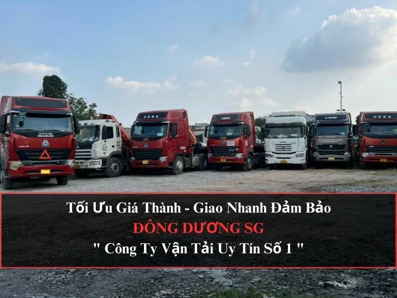 Công Ty Sắt Thép Đông Dương SG: Nhà Cung Cấp Uy Tín Cho Mọi Công Trình