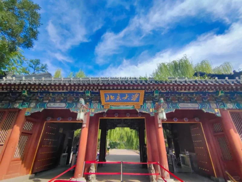 Hướng Dẫn Chi Tiết Cách Bổ Sung Sắt Cho Bà Bầu An Toàn & Hiệu Quả