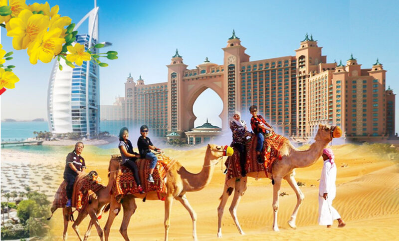 Giá Sắt Thép Miền Nam: Cập Nhật Mới Nhất & Hướng Dẫn Lựa Chọn