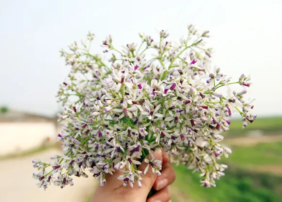 a13f9189 6746 48f8 96fc 9b480911404e