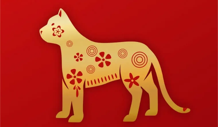 Bảng sao hạn năm 2026 cho tuổi Mão