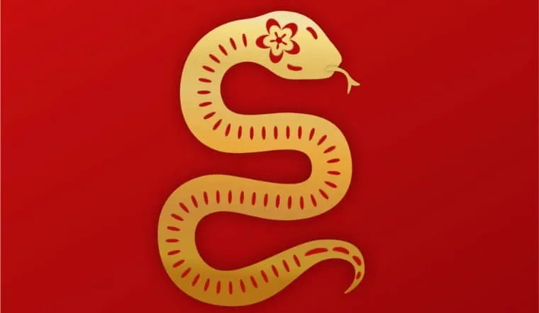 Bảng sao hạn năm 2026 cho tuổi Tỵ