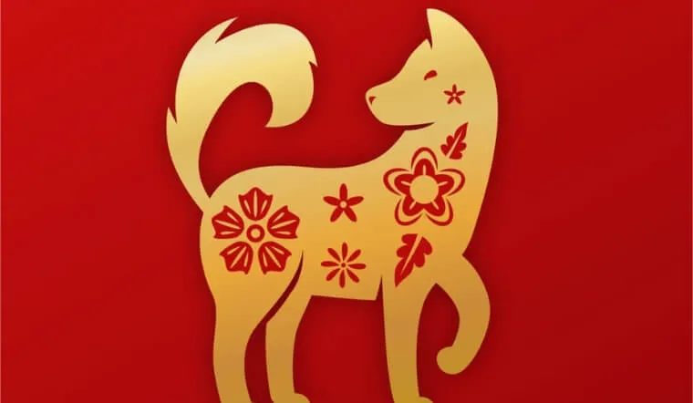 Bảng sao hạn năm 2026 cho tuổi Tuất