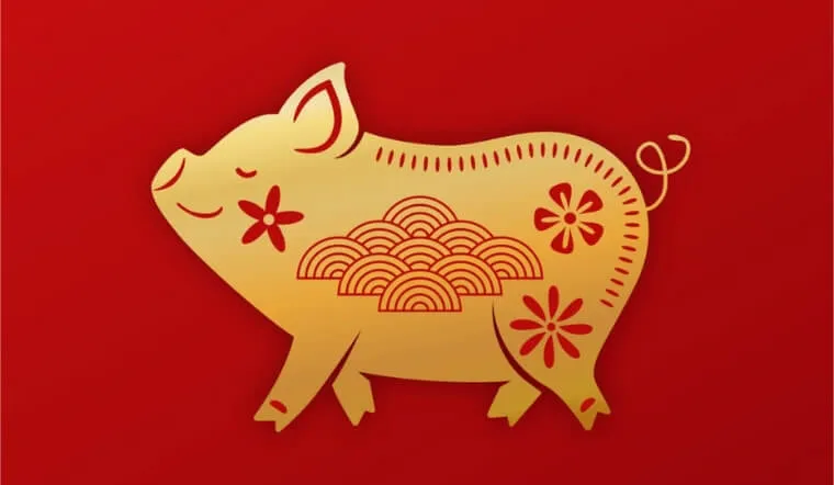 Bảng sao hạn năm 2026 cho tuổi Hợi