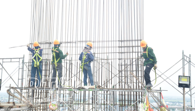 Công Ty Cổ Phần Nhà Thép Đinh Lê: Chuyên Gia Về Kết Cấu Thép Cho Mọi Công Trình