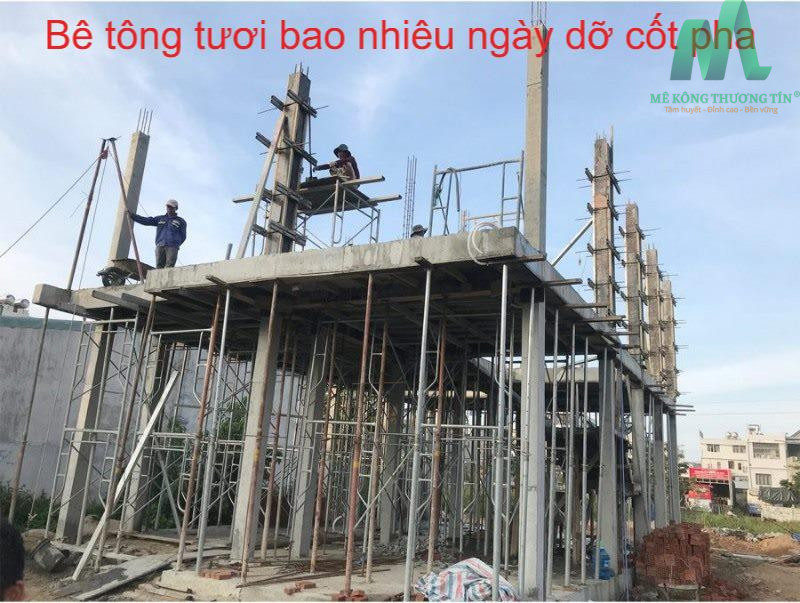 Bê Tông R7 Bao Nhiêu Ngày Tháo Coppha Đạt Tiêu Chuẩn Chất Lượng