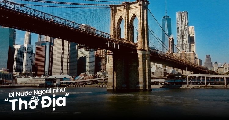 Nên Mua Máy Cắt Cầm Tay Loại Nào Để An Toàn Và Hiệu Quả? Phân Tích Chuyên Sâu