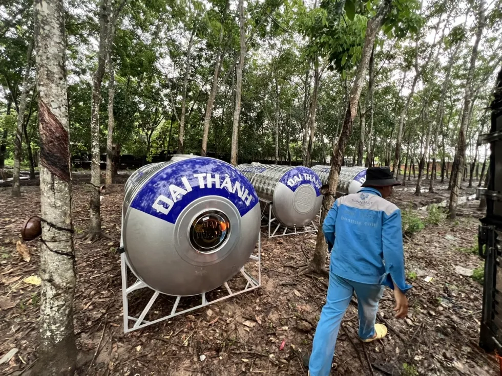 Cảnh sát đang kiểm tra hiện trường nơi nạn nhân được tìm thấy