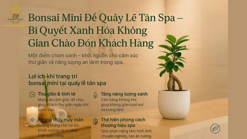 Quầy Thu Ngân Đơn Giản: Tối Ưu Không Gian và Nâng Tầm Trải Nghiệm Thương Hiệu