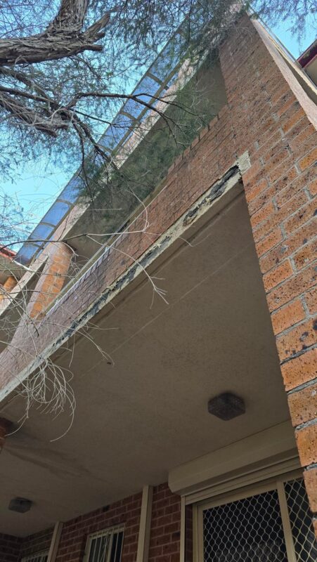 Bê Tông Tự Phục Hồi: Giải Pháp Vật Liệu Thông Minh Cho Tương Lai Xây Dựng