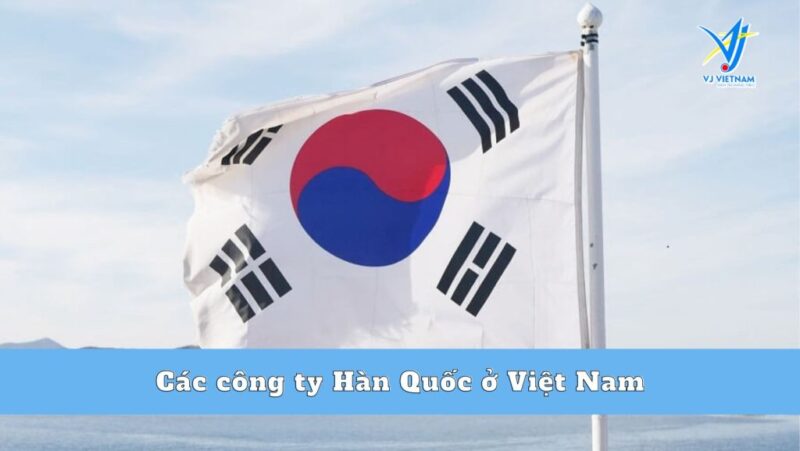 Công Ty Thép SEAH Tuyển Dụng: Cơ Hội Nghề Nghiệp Hấp Dẫn Tại Nhà Máy Thép Hàng Đầu