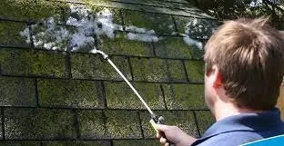 Dọn dẹp, làm sạch nền sân thường xuyên