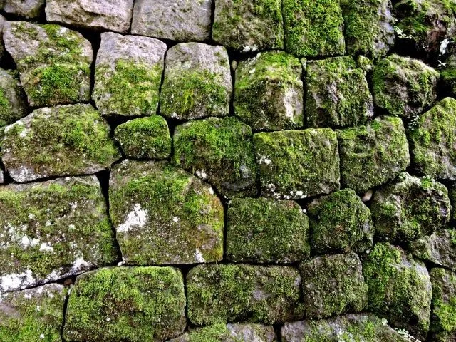 Gây hư hỏng mặt sàn