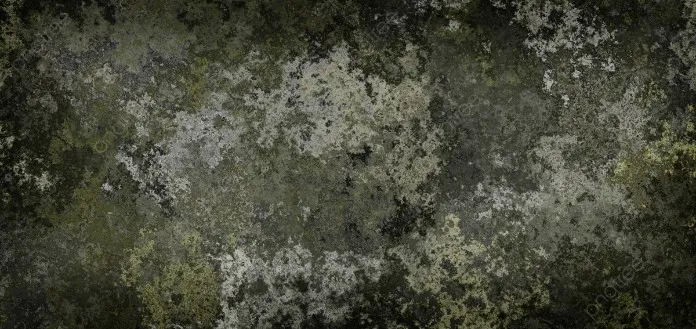 Rêu mọc nhiều khiến sân khó bảo quản và vệ sinh