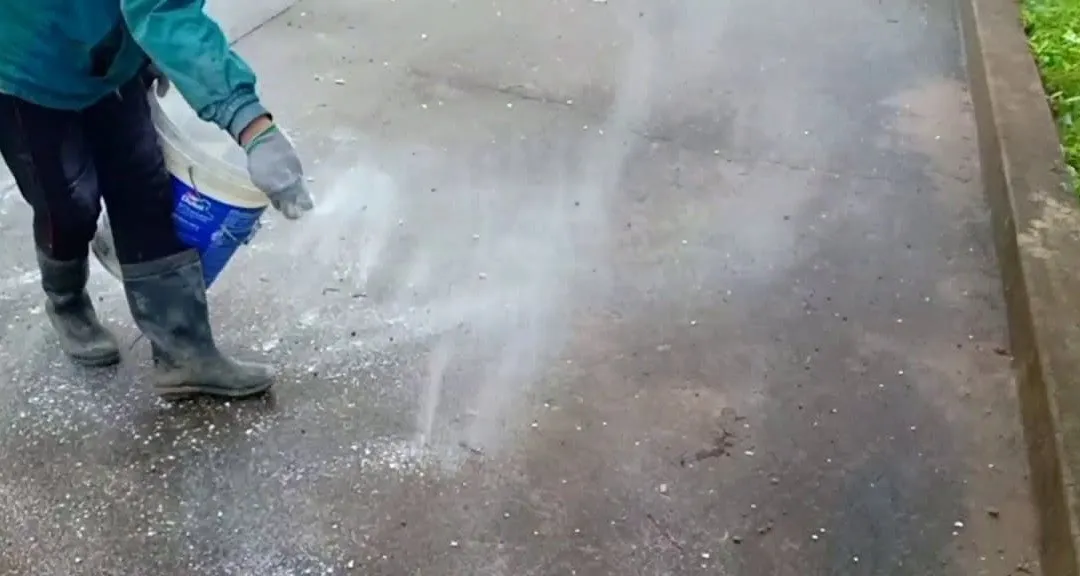 Thuê dịch vụ vệ sinh, làm sạch rêu ở sân bê tông