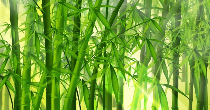 Cây Tre Việt Nam Thép Mới Ngữ Văn 6: Phân Tích Chi Tiết Tác Phẩm