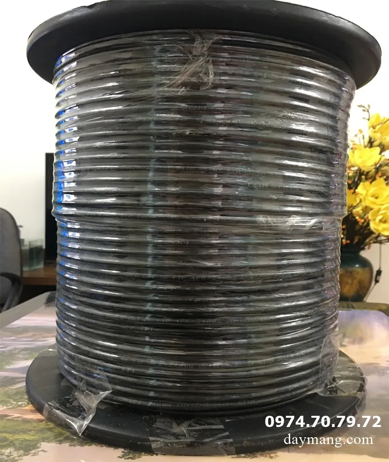 dây mạng ngoài trời cat5 taesung ftp 4 lõi