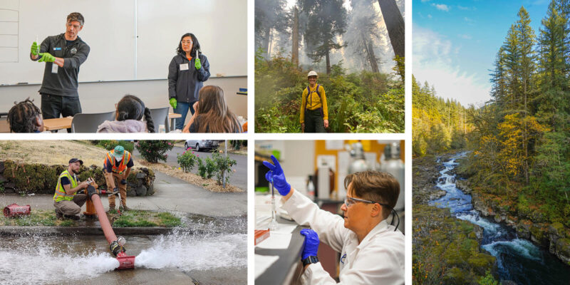 Báo Giá Thi Công Ép Cọc Bê Tông Uy Tín – Dịch Vụ Chuyên Nghiệp 2024