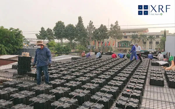 Chi phí xây nhà xưởng 200m2 bao nhiêu