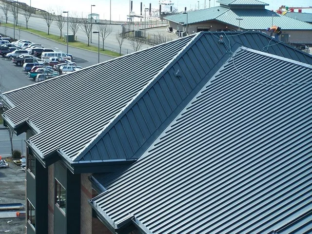 chọn dòng tôn chất lượng