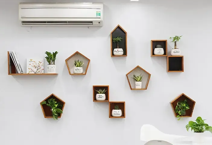 Có Nên Chưng Hoa Loan Trong Phòng Ngủ? Từ A Đến Z