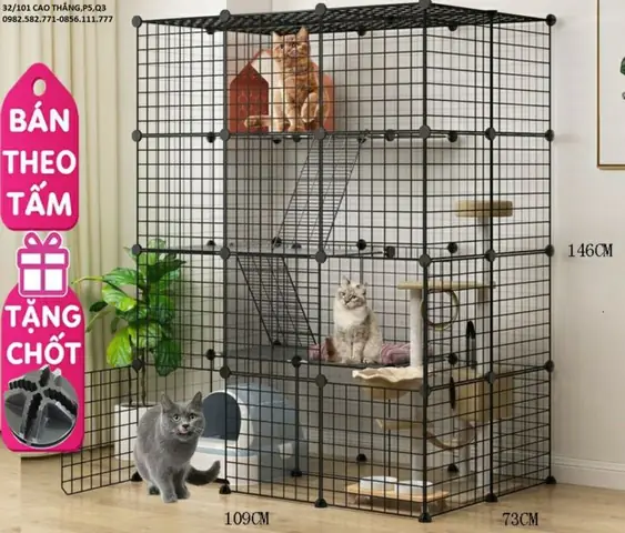 Lựa Chọn Chuồng Chó Inox Có Mái Che: Hướng Dẫn Chi Tiết Từ A-Z