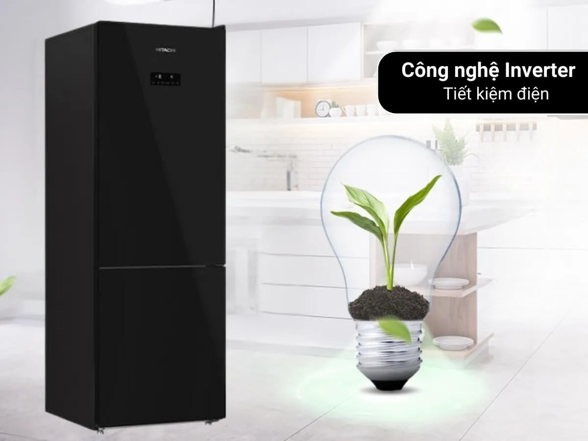 Mẫu tủ lạnh 2 cánh nào nhận được nhiều quan tâm nhất năm 2025
