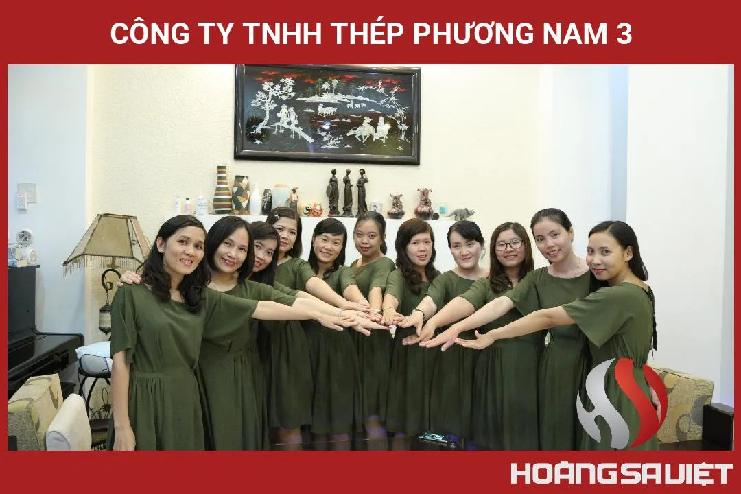 Công Ty TNHH Thép Phương Nam 3
