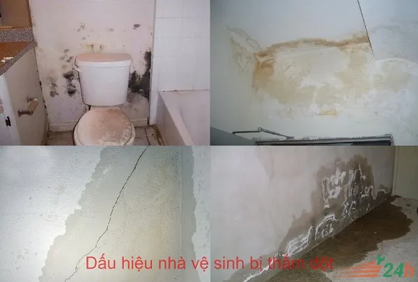 Dấu hiệu nhà vệ sinh bị thấm dột