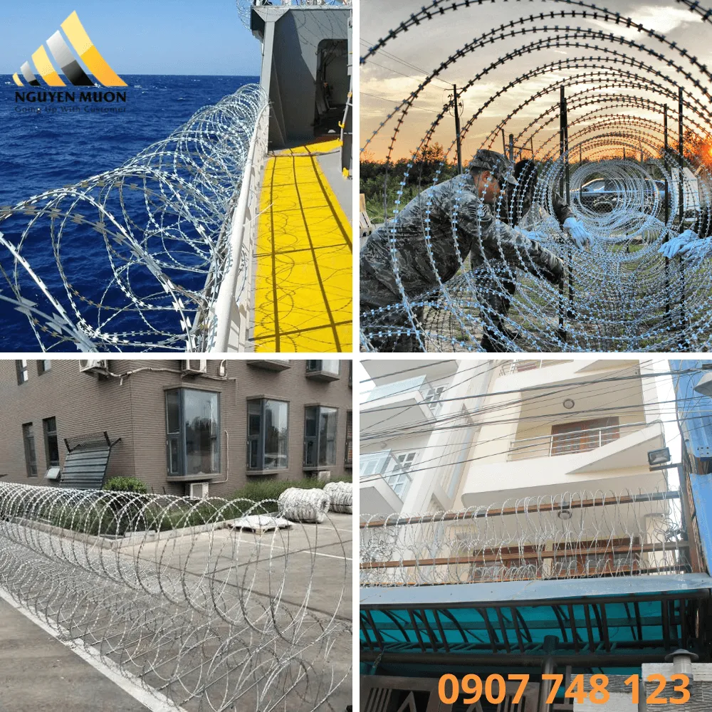 Dây thép gai lưỡi dao