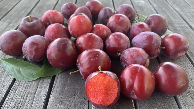 Bưởi giúp mẹ bầu bổ sung vitamin và khoáng chất thiết yếu